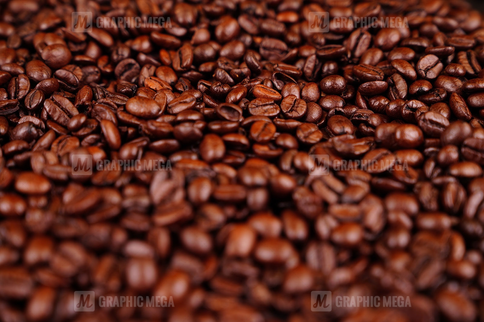 Roasted Coffee Bean Stock Photo - Download Image Now - Arabica